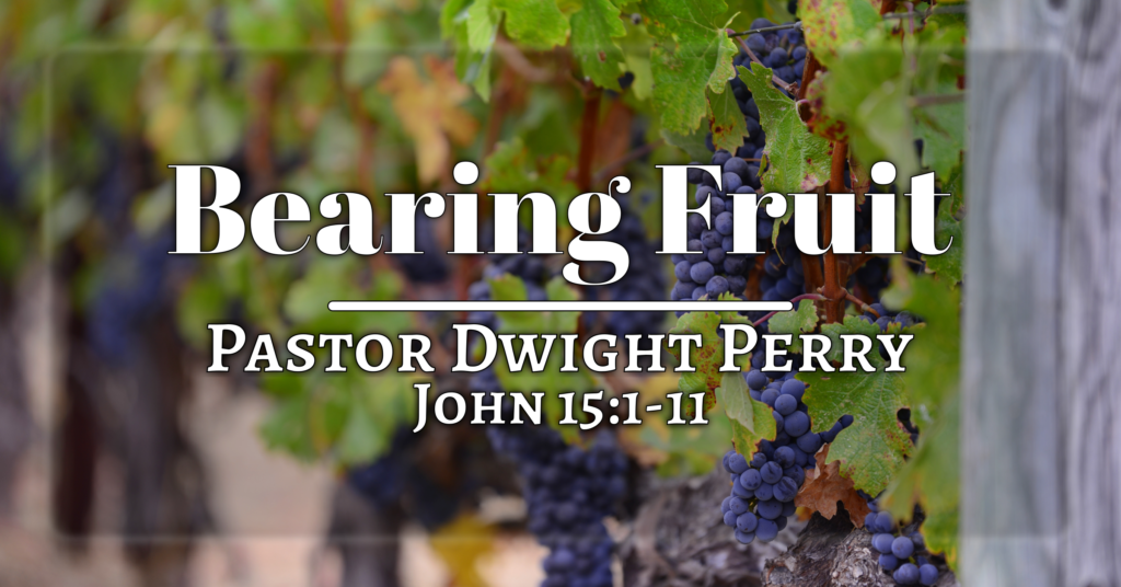 Sermon image for the significance of bearing fruit